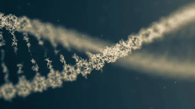 Kiosztották az orvosi-élettani Nobel-díjat, szenzációs felfedezést tettek a kutatók