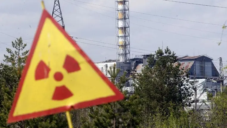 Hátborzongató átalakuláson mennek keresztül a csernobili állatok 