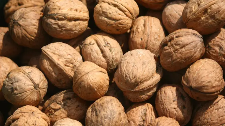A gyulladáscsökkentő és gyomorgyógyító dió 7 áldásos egészségügyi hatása