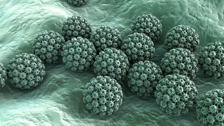 Halálos veszélyben lehetnek a férfiak 