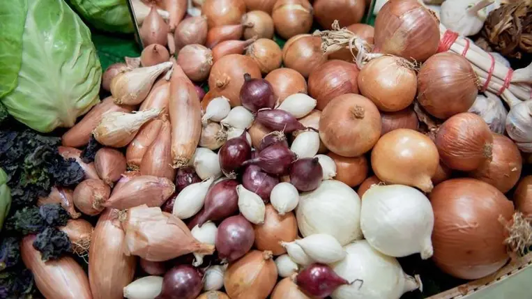 Tudta, hogy a hagyma nagyon veszélyes méreg a házi kedvenceink számára? 