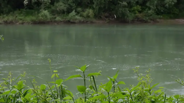 Egy 23 éves ukrán férfi holttestére bukkantak a Tisza partján a magyar határőrök. Fotó: Ukrán Állami Határőrszolgálat