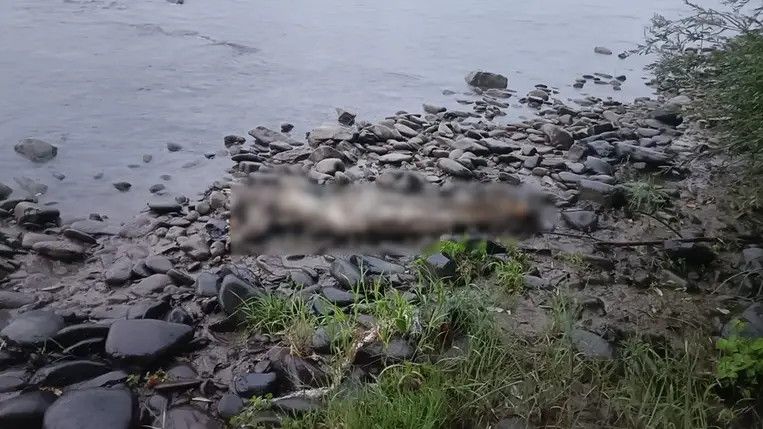 Egy férfi holttestét találták meg a román határőrök a Tiszában. Fotó: Ukrán Állami Határőrszolgálat 