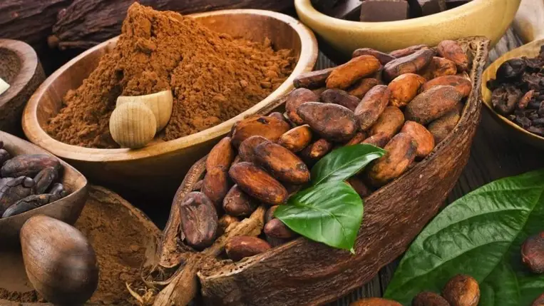 A kakaófogyasztás döbbenetes előnyeit azonosították 