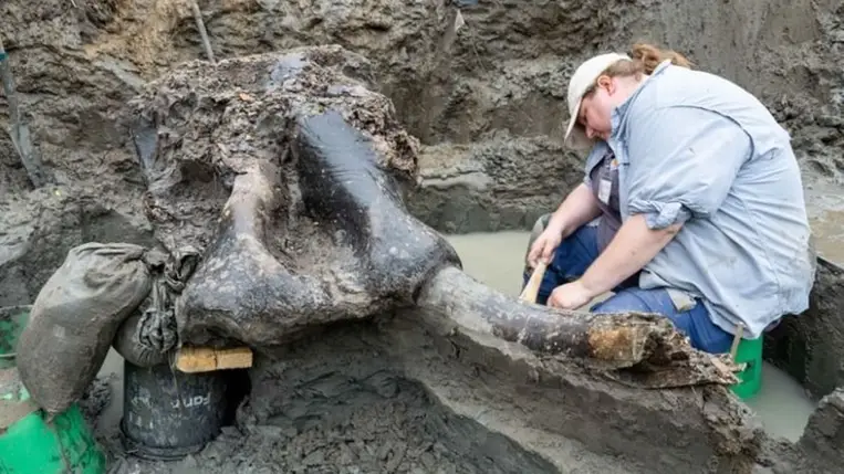 Hatalmas ősi koponya került elő egy patakból 