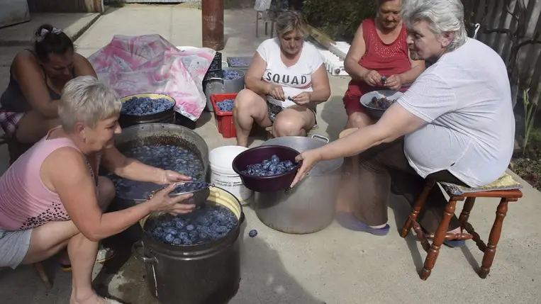 Ha szeptember, akkor lekvárfőzés - Munka és közösségi alkalom