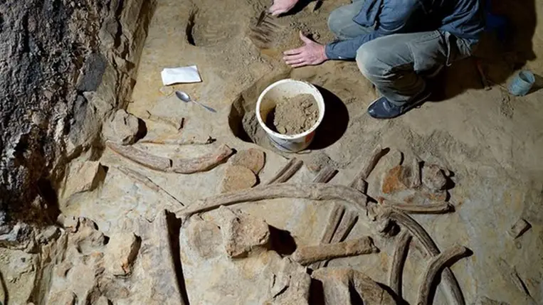 Óriási döbbenet, mamutcsontot találtak egy pince felújításakor Ausztriában 