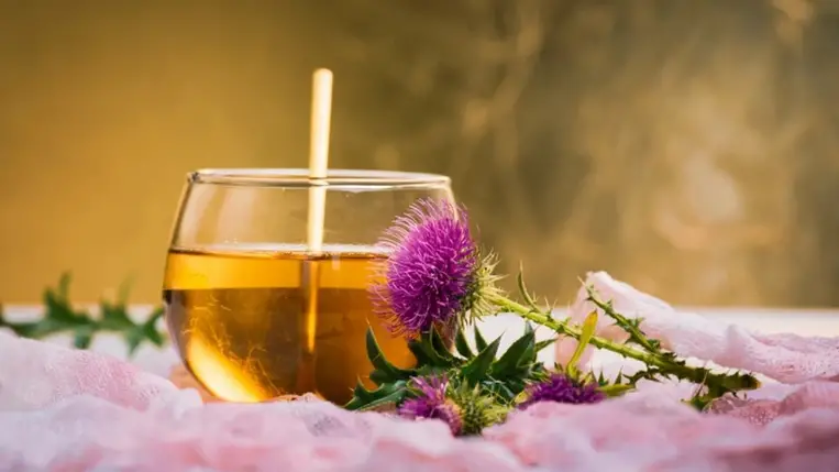 Zsírmáj ellen a legbiztosabb megoldás: a máriatövis 4 jótékony hatása