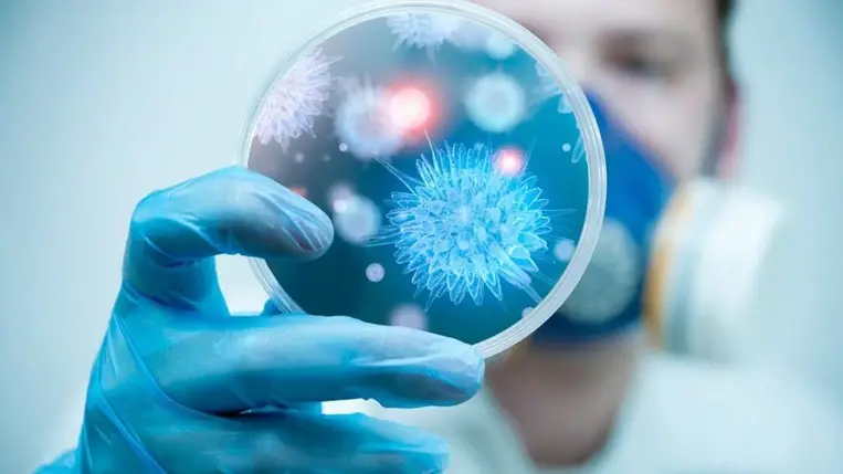 Több, mint 160.000 új vírust fedezett fel a mesterséges intelligencia 