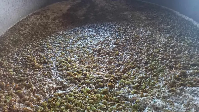 A hőmérséklet szerepe a must erjedése során