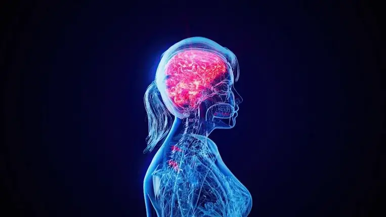 A nőket érintő fontos felfedezést tettek a tudósok 