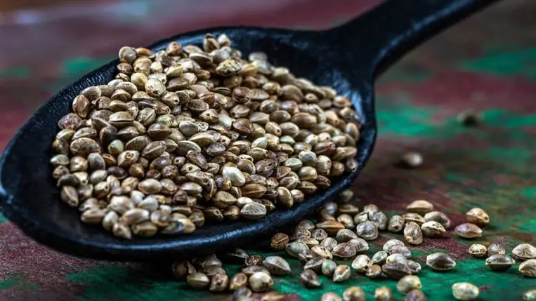 A tudomány igazolta: 14 fajta rák ellen védhet ez a jól ismert tápanyag 