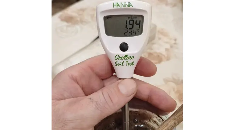 A fóliaházak talajainak javítása, termőképességének megőrzése, növelése