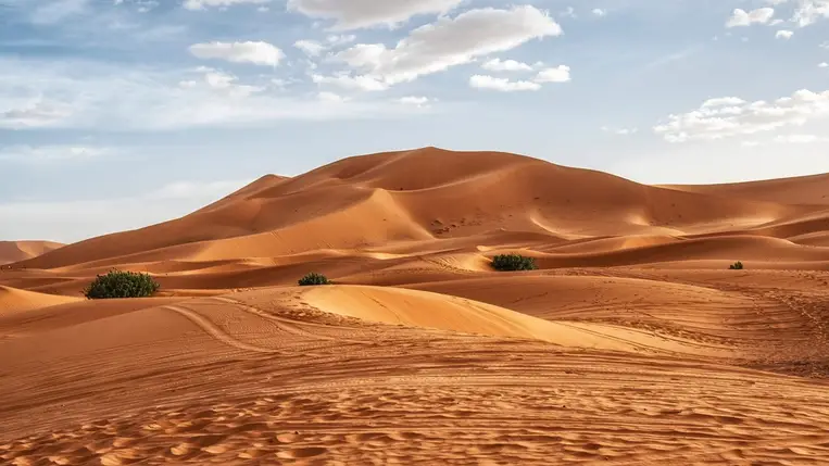 Bizonyítékot találhattak rá, hogy egykor buja zöld volt a Szahara
