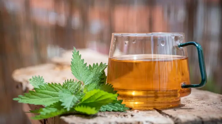 Serkentik az emésztést, gyorsítják a méregtelenítést