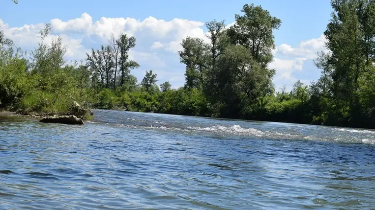 Már a tizedik holttestet találták meg a Tiszában májusban. Fotó: Ukrán Állami Határőrszolgálat