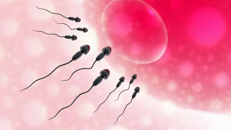 Férfiakra és nőkre is életveszélyes az ismert vírus 