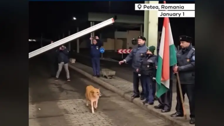Otthonra lelt a kóbor kutya, amely elsőként kelt át a román–magyar schengeni határon