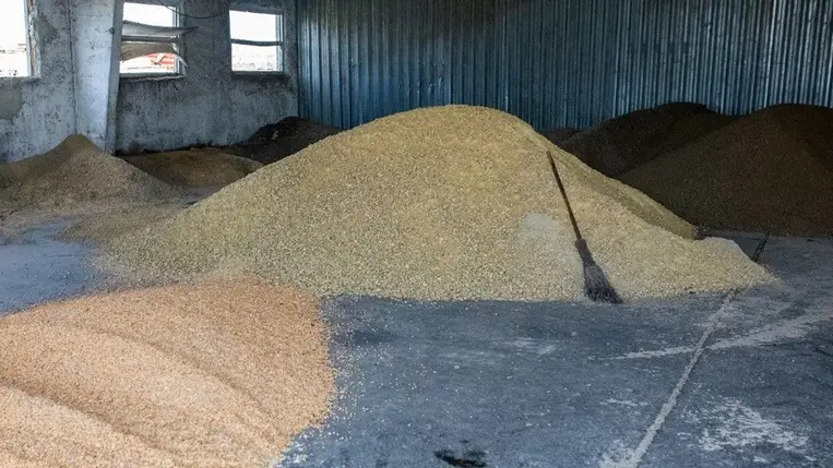 Gabonatároló Harkiv közelében – az ukrán mezőgazdaság munkaerő- és tárolókapacitás-hiánnyal küzd / Fotó: Anadolu via AFP