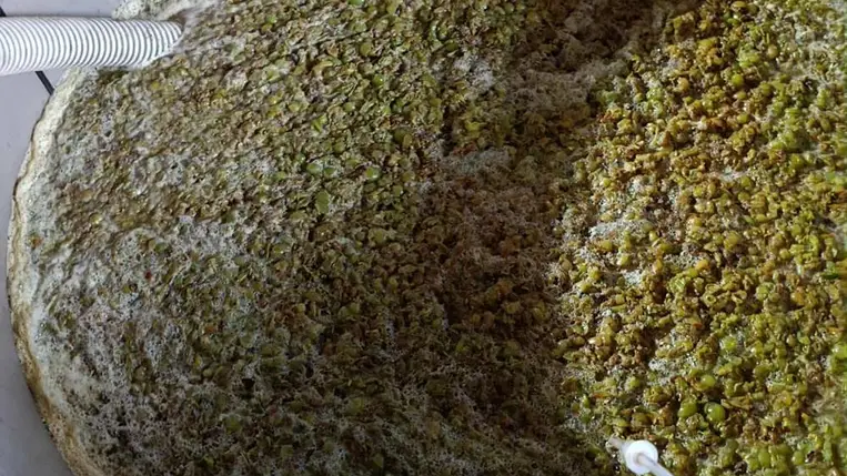 Az édes pillanat megőrzése