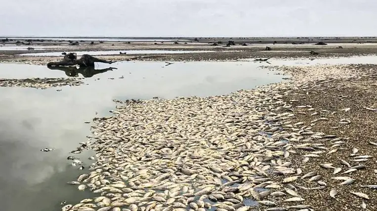 Az Oroszország által Ukrajnának okozott környezeti károk értéke már elérte a 94 milliárd dollárt. Illusztráció. Fotó: Internet