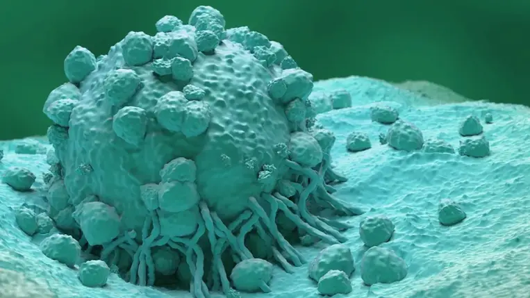 Azonosították az egyik leggyakoribb rák okát 