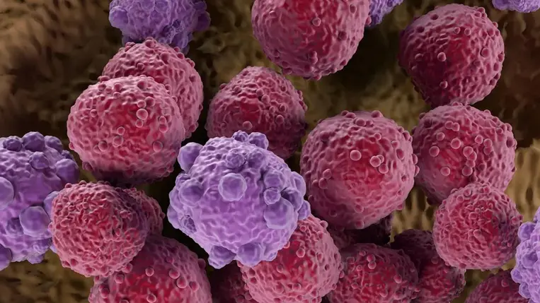 Belenéztek a daganatok belsejébe, és olyat találtak, ami mindent megváltoztathat