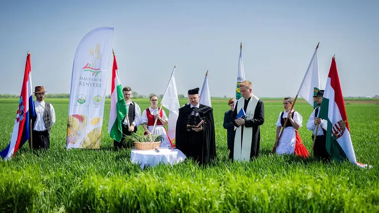 Búzaszentelés a Magyarok Kenyere program keretében - Nem vagyunk egyedül, számíthatunk egymásra