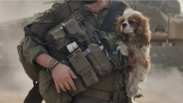 A Goláni egység katonája viszi haza a Gázai romok közül előkerült spánielt (Fotó:X)