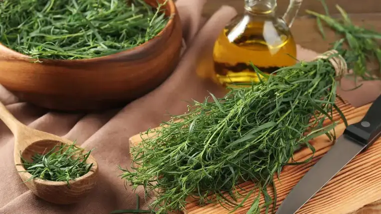 Ez az alábecsült gyógynövény csodákat művel az egészségeddel 