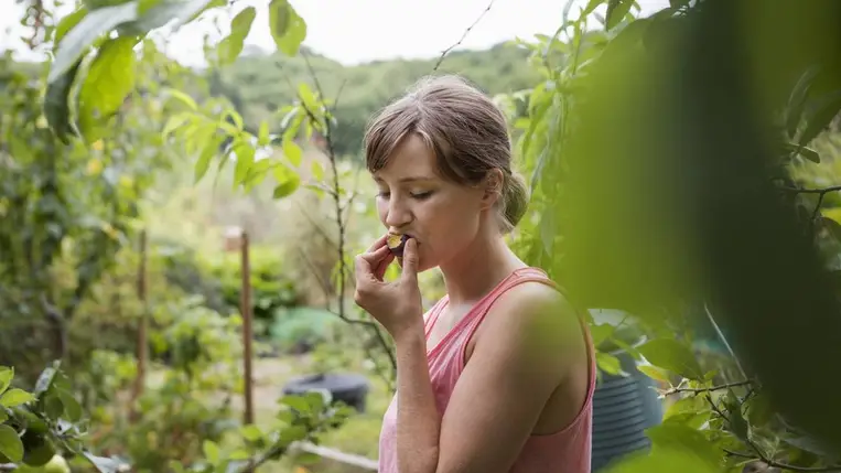 Ez a gyümölcs a szív- és az agyműködést is támogatja