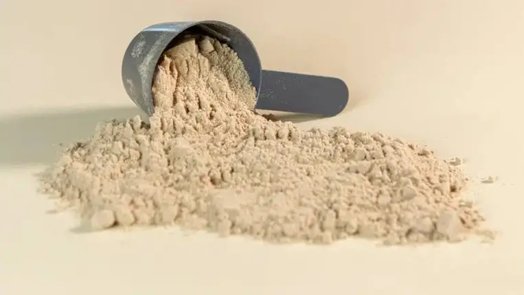 A fehérjeporok világa 