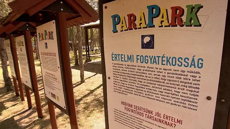 Fogyatékossággal élő ukrán menekülteket látnak el egy magyar tanyán