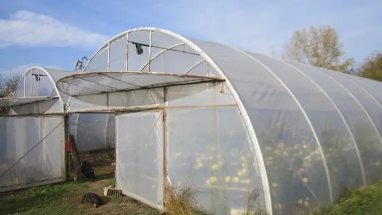 A fóliasátrak klímaszabályozása (1.)