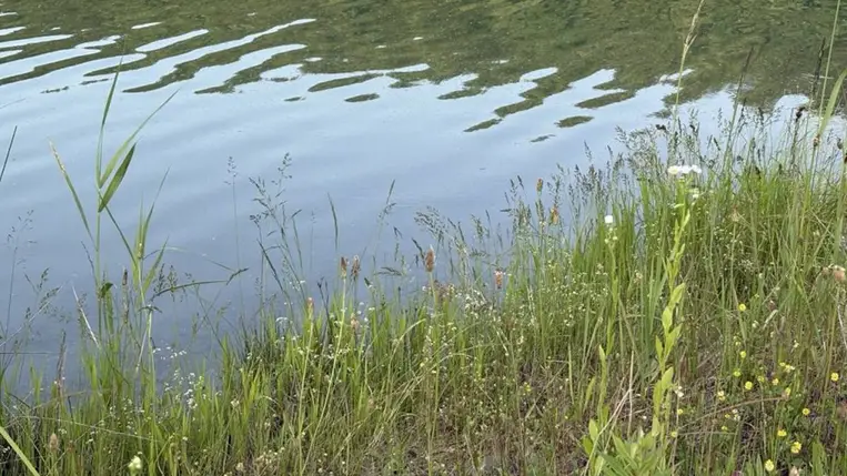 Holttestet találtak egy tóban a Huszti járásban