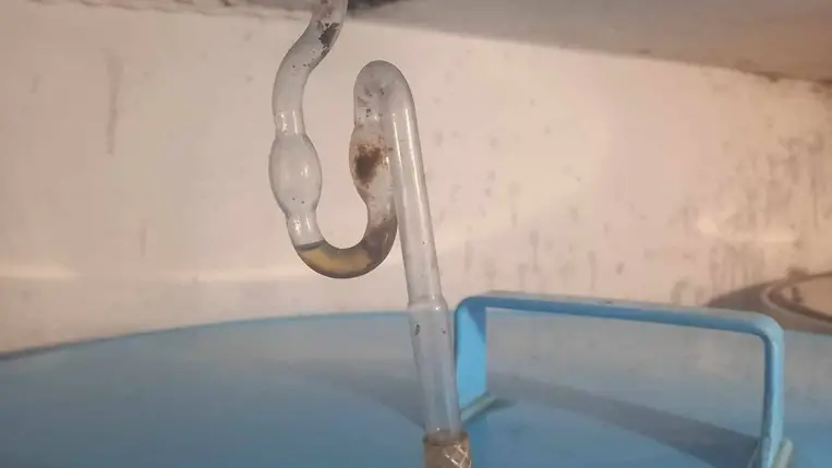 A hőmérséklet hatása a must erjedésére és a bor végső minőségére