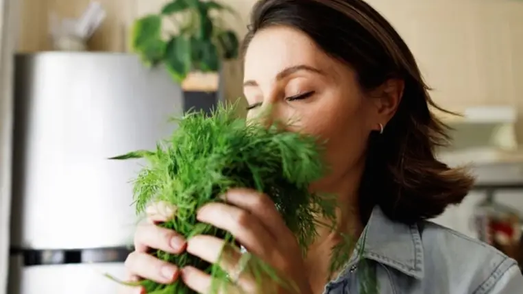 A kapor titkos ereje: mire jó valójában ez a zöld fűszernövény?