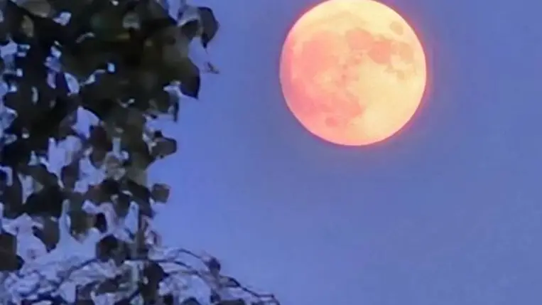 Lenyűgöző látványt nyújtott az éjjeli eperhold.Illusztráció. Fotó: Internet