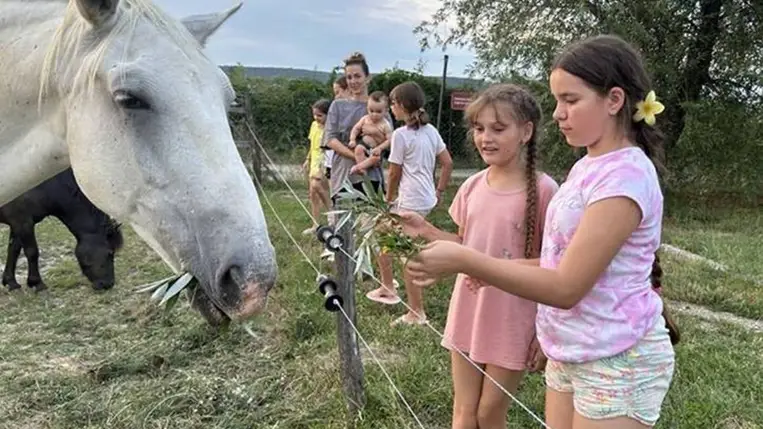 Lovastáborban a nagycsaládosok - Nyeregbe, gyerek!