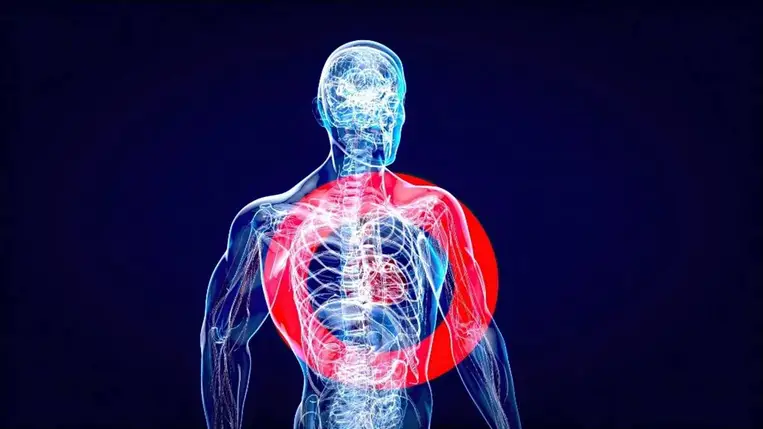 Magyar felfedezés segíthet megelőzni az infarktus utáni szervkárosodást 