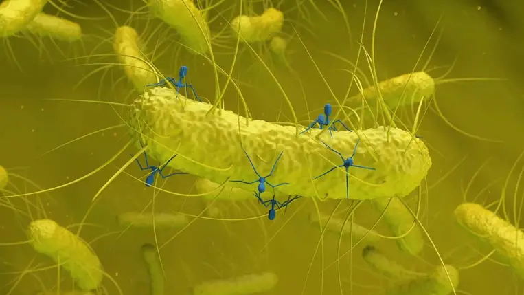 Meg fog lepődni, mi befolyásolhatja az antibiotikumok hatékonyságát 