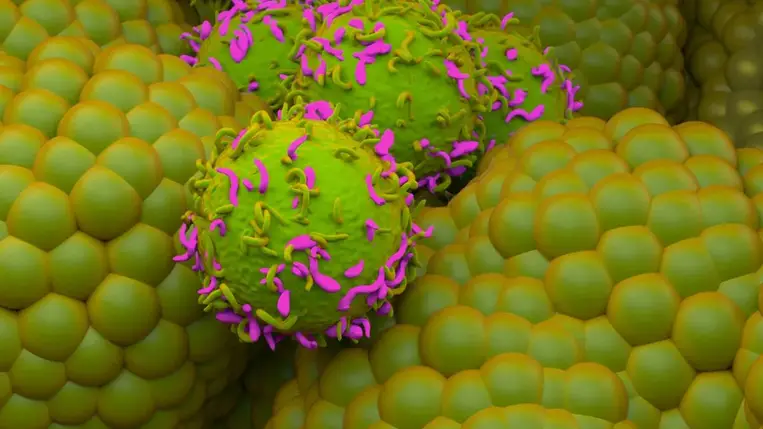 Meglepő felfedezés: megfékezheti a rákot egy milliók által szedett gyógyszer