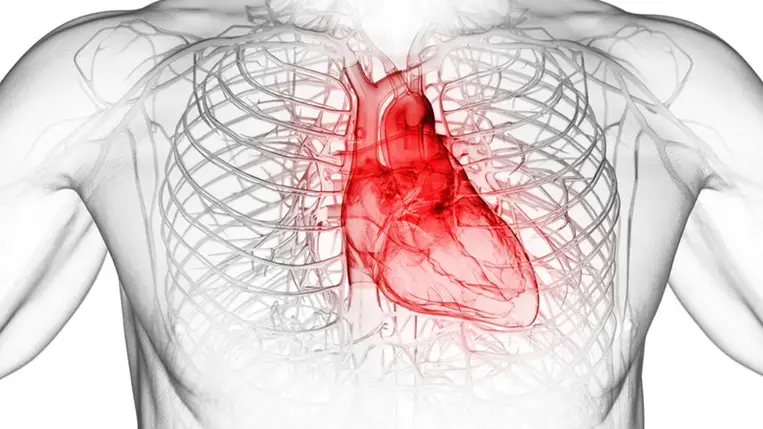 Megtalálták azt a négy jelet, ami az emberek 99 százalékánál előre jelzi a szívrohamot