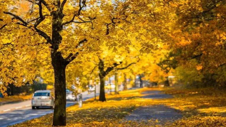 Meteorológia: hétfő este megkezdődik a csillagászati ősz. Illusztráció. Fotó: Internet