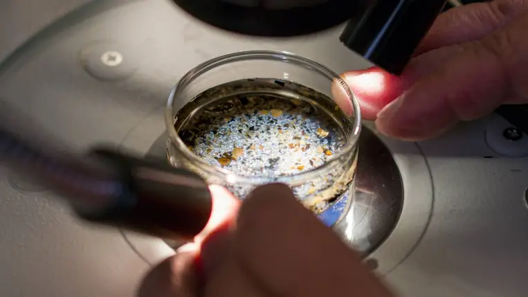 Mikroműanyag. Illusztráció. Fotó: Leonard Ortiz/MediaNews Group/Orange County Register via Getty Images