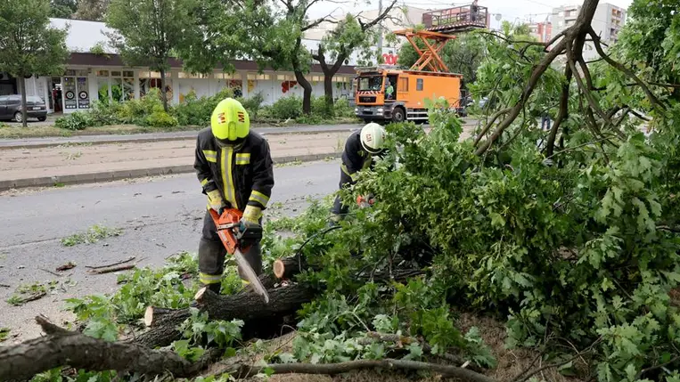  Miskolc, 2025. júliuss 7.– A viharban letört, az úttestre zuhant faágakat darabolják tűzoltók. A fotó forrása: MTI/Vajda János.