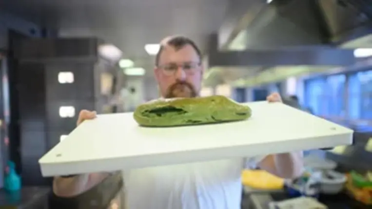 Spirulina alga: ennyi mindenre jó