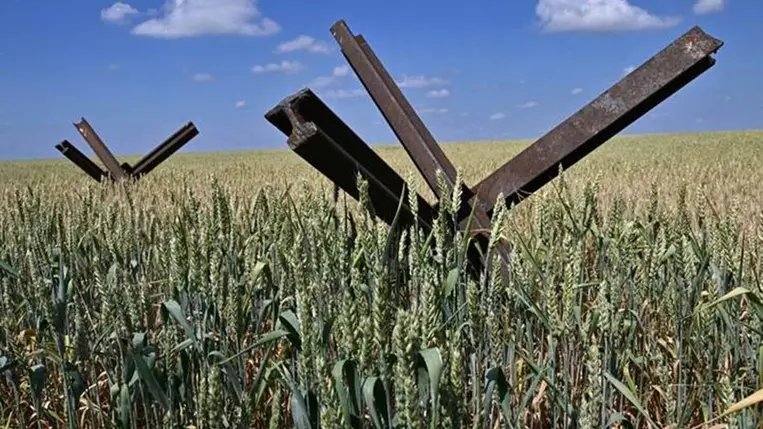 Tankcsapda a búzaföldön – az ukrán mezőgazdaság kénytelen új piacokat keresni az uniós kvóták miatt / Fotó: AFP