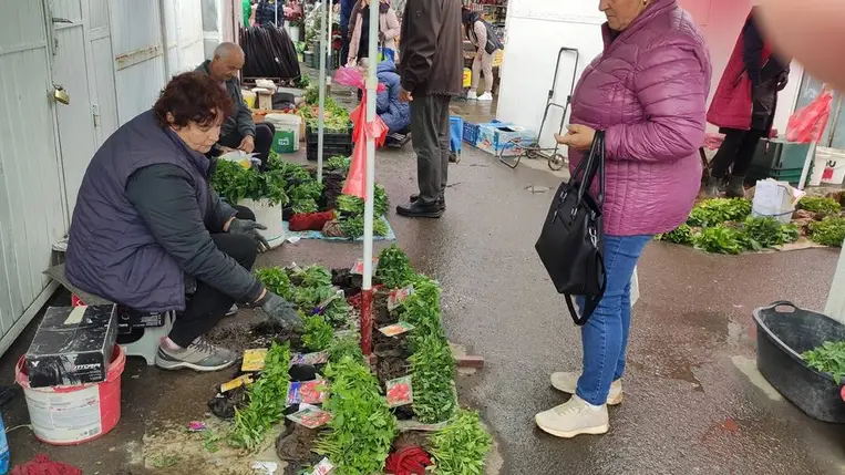 Tart a palántaszezon - Mérsékelt árak, bőséges kínálat. Fotó: Kárpátinfó/ Kovács Elemér