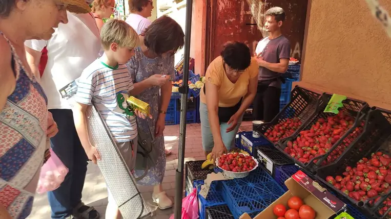Tele kamra – 2025 - Búcsú az olcsó befőzési szamócától. Fotó: Kárpátinfó/ Kovács Elemér